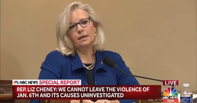 Liz Cheney Attacks Trump’s White House in Opening Statement For Jan. 6 Hearing (VIDEO)