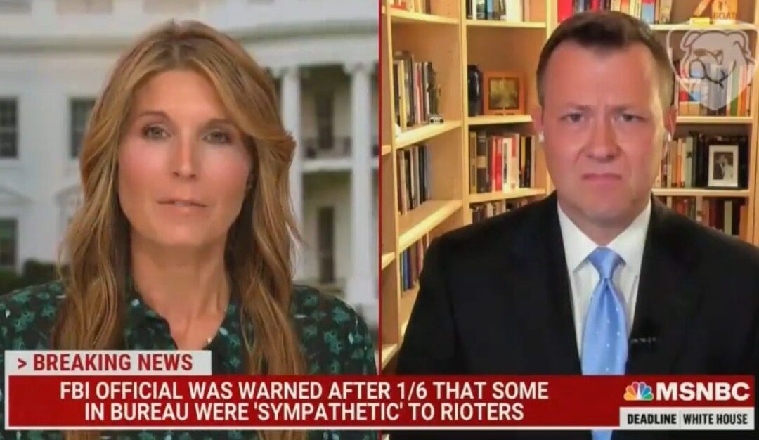 Peter Strzok to MSNBC’s Nicolle Wallace: “9/11 is Nothing Compared to January 6” (VIDEO)