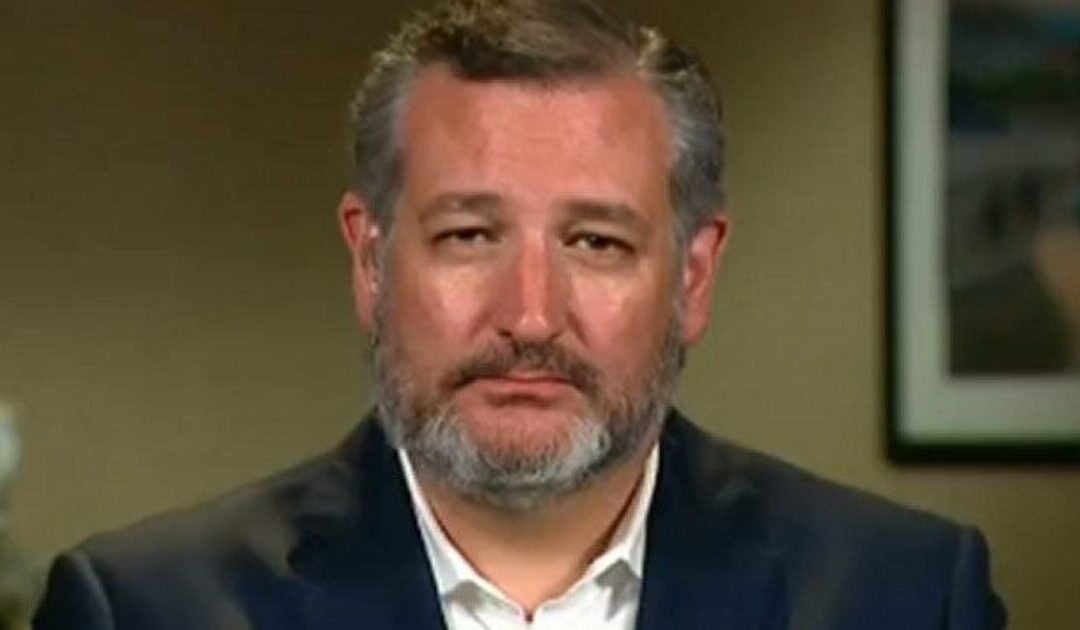 Ted Cruz exposes Collin Allred’s disastrous management