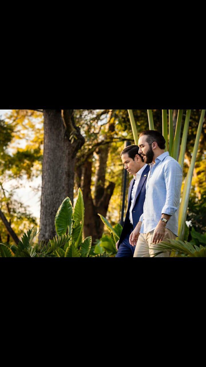 Nayib Bukele confirms that the U.S. is his main ally 2 Nayib Bukele confirms that the U.S. is his main ally