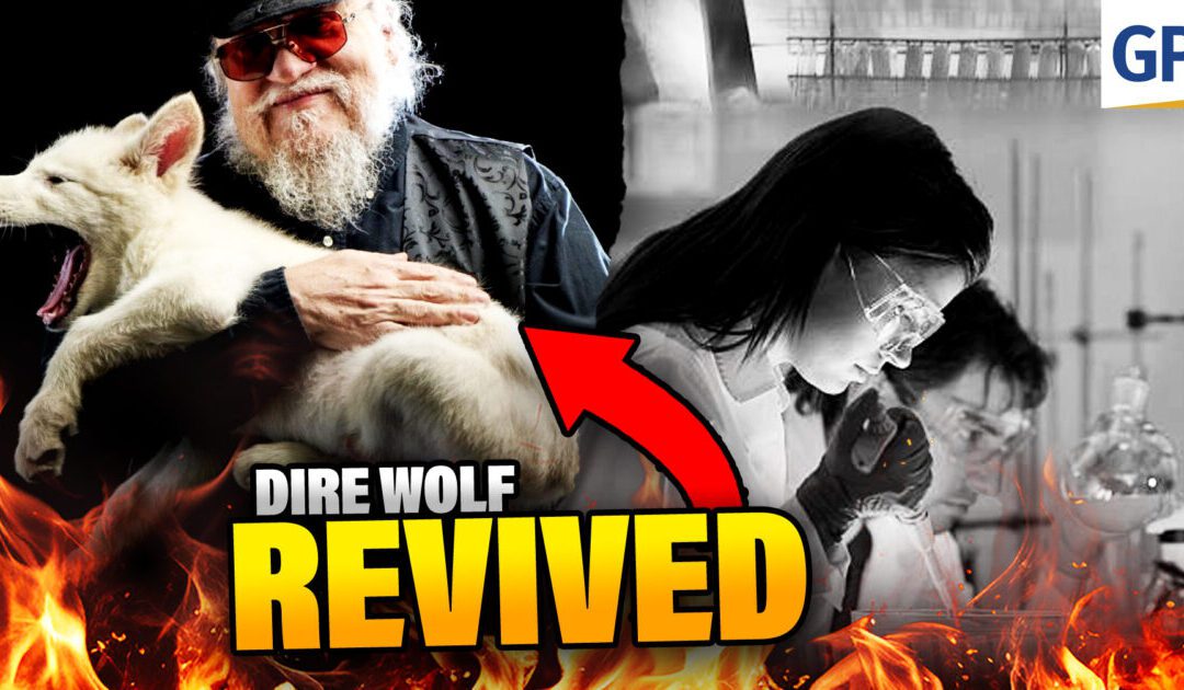 EXTINCT No More: Dire Wolf REVIVED After 12,500 Years! | Elijah Schaffer’s Top 5 (VIDEO)