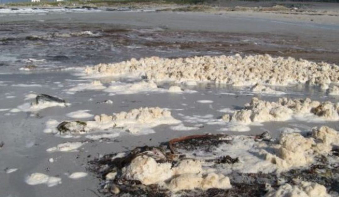 Influencer Michelle Sky Goes Viral After Swimming in What She Thought Was Sea Foam