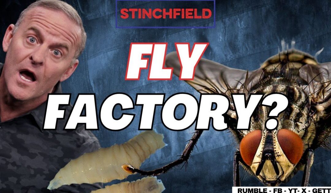 Fly-Pocalypse at the Border: Gov’t Engineered Sterile Flies Set to be Dropped on Texas! (VIDEO)