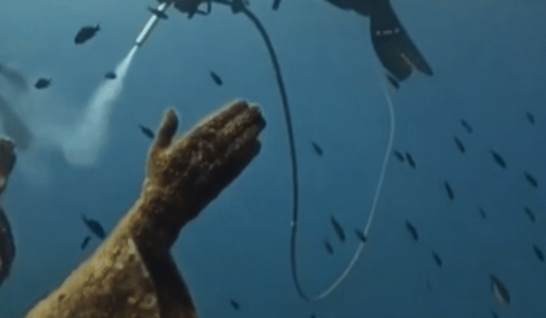 Italy Honors the 70th Anniversary of the Christ of the Abyss with Deep-Sea Restoration