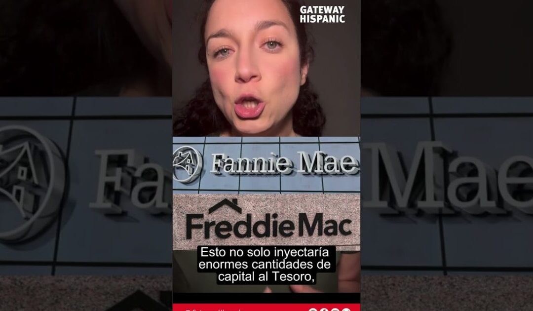 Mega Public Offering of Fannie Mae and Freddie Mac