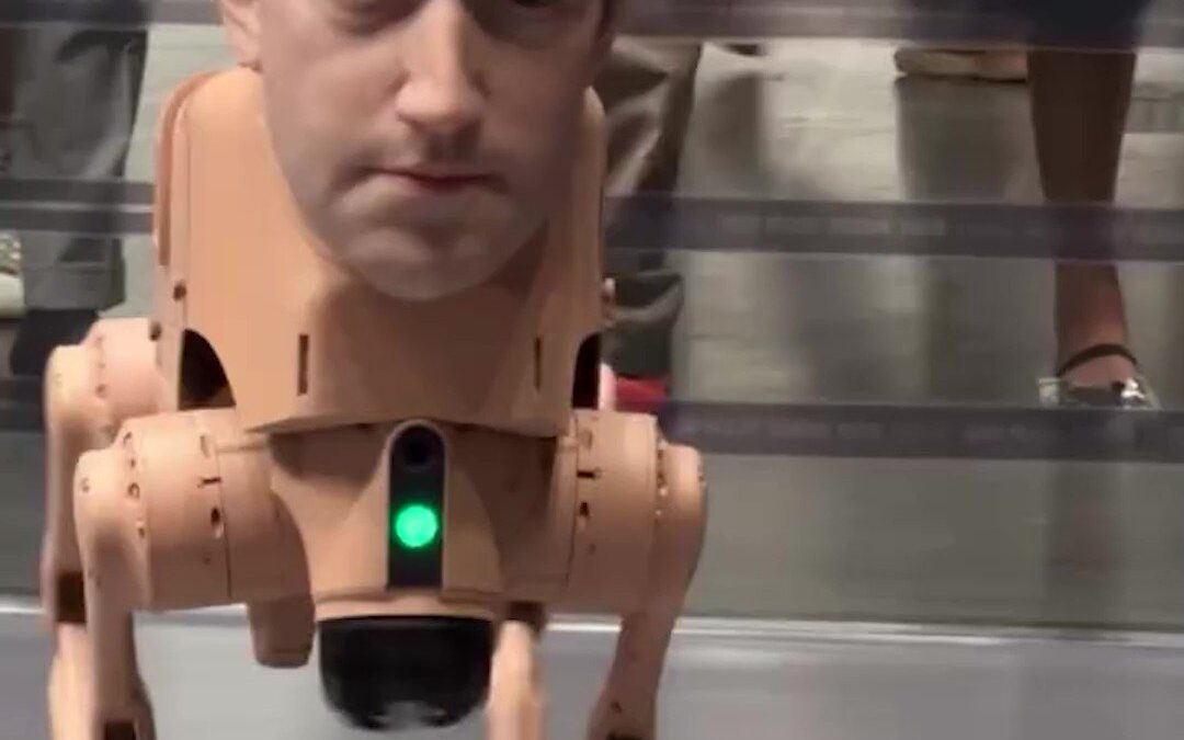 Art Basel Miami Beach goes high tech with robotic canine humanoids