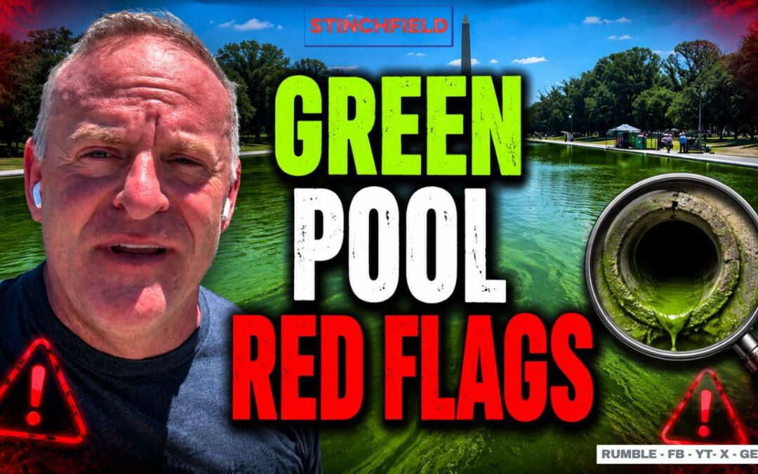 Mainstream Meltdown Over Stinchfield’s Claim of Reflecting Pool Sabotage (VIDEO)